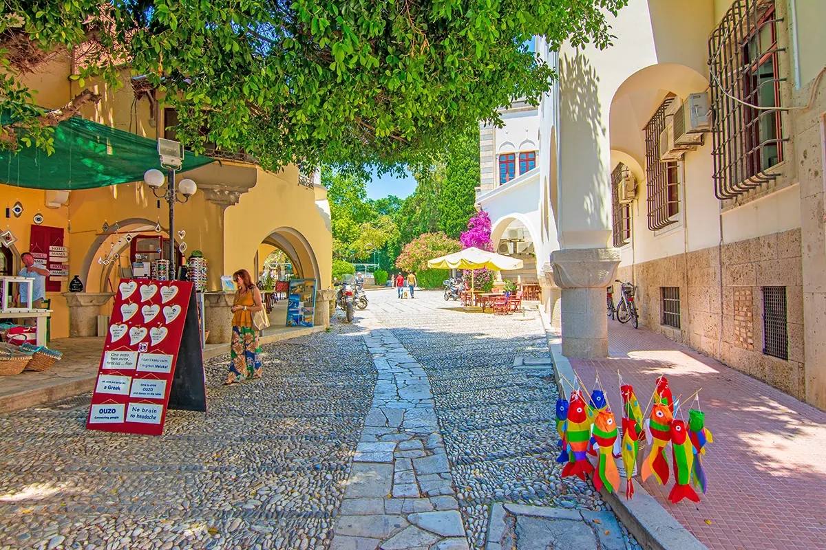 Bodrum Kos feribot seferleri için yolculuk detayları ve feribot tipleri.