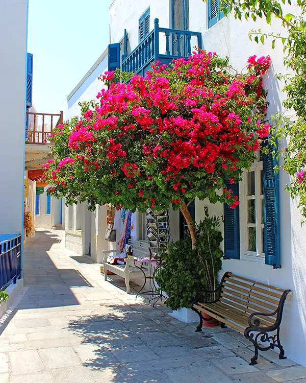 Bodrum Kos Feribotu.
