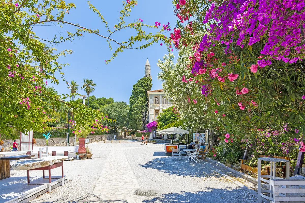 Kos island, the island of Hippocrates.