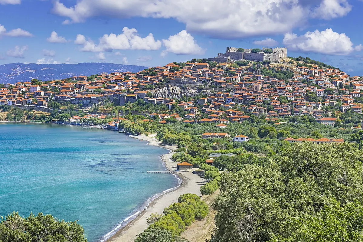 Ayvalık Midilli feribot seferleri evcil hayvan politikaları.