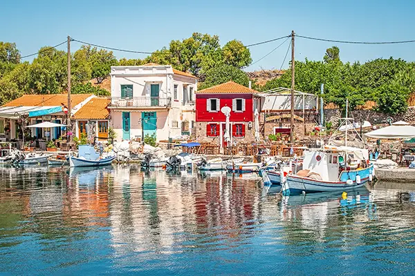 Midilli Adası'ndaki Taşlaşmış Orman.