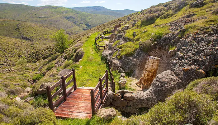 Petrified Forest in Lesvos island.