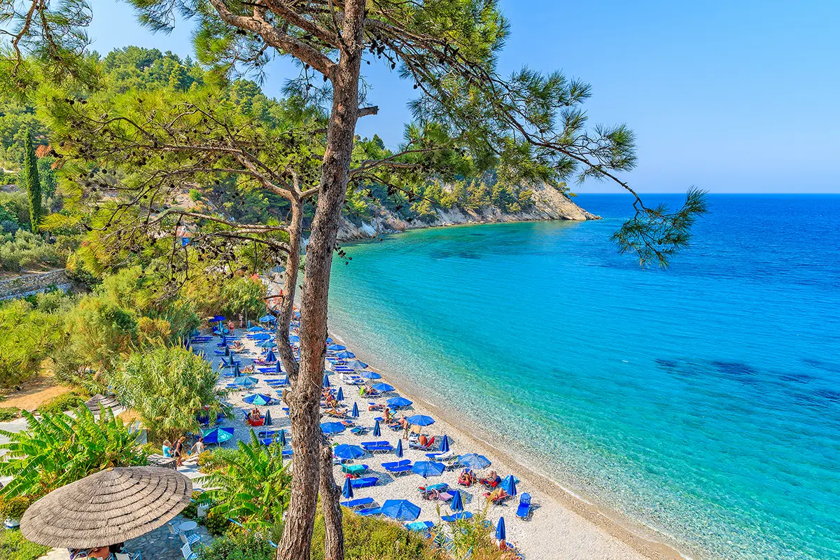 Pet policies for Kusadasi Samos Ferry Departures.