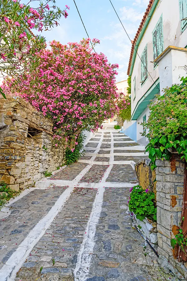 Kuşadası'ndan Samos'a nasıl gidilir.